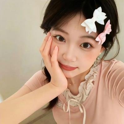 人民公仆2